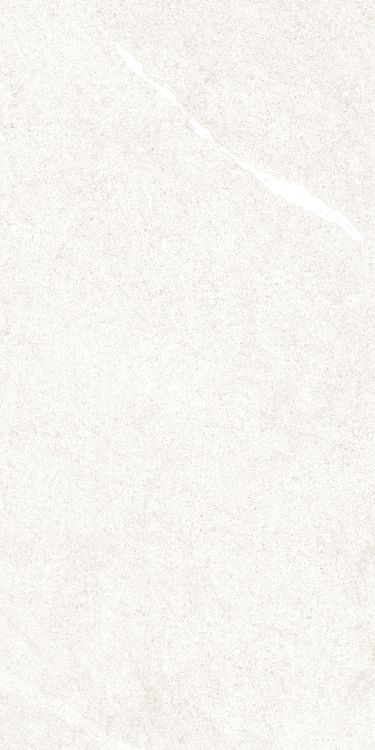 Dhara White Matte 12 x 24